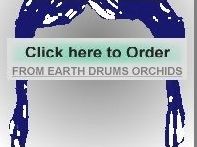 Link to Order Debut Album page